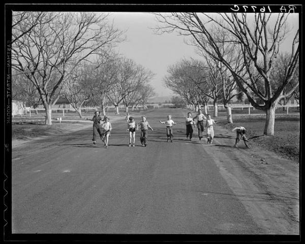 Subsistence Homesteads National Agricultural Library